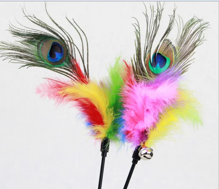 Free shipping Hot Playing Peacock Feathers New Fashion Pet ToysCa Toys
