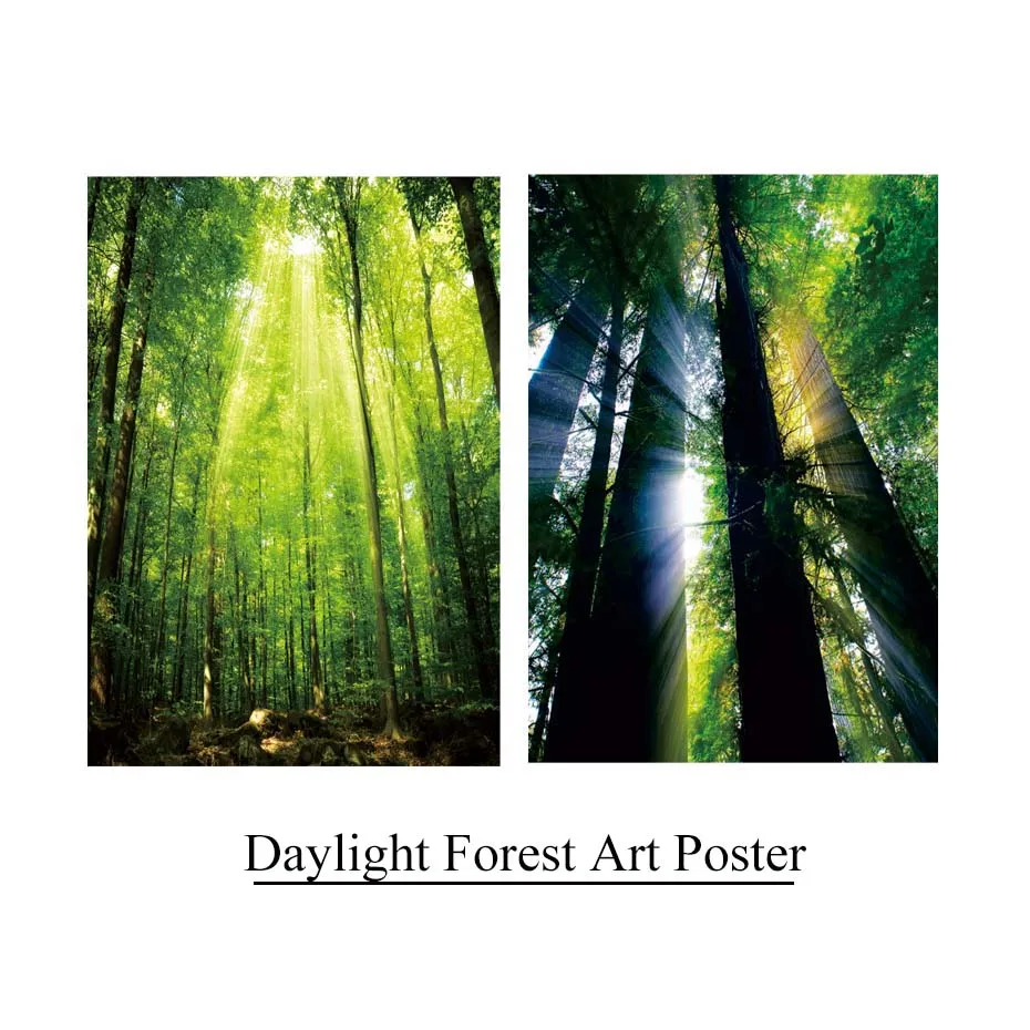 Daylight Forest Landscape Wall Art Scenery Pictures Realistic Canvas Painting Vintage Posters&PrintsLiving Room Home Decor Mural (1)