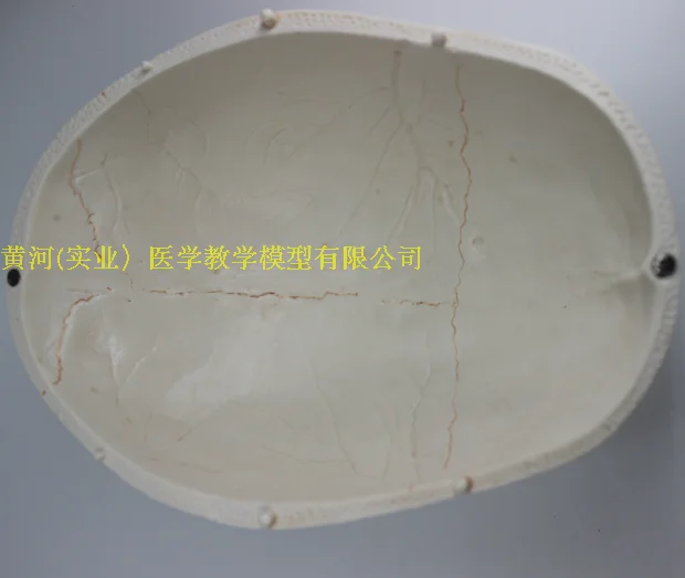 //img.alicdn.com/imgextra/i2/195409353/TB2aW9Za7qvpuFjSZFhXXaOgXXa_!!195409353.png