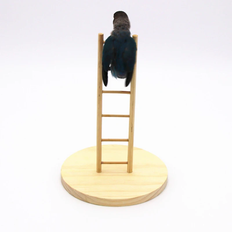 

Parrot Bird toy Climb training Ladder Stand Portable Perches Station pole for Bird Parakeet Wood Birdcage Decoration Accessories