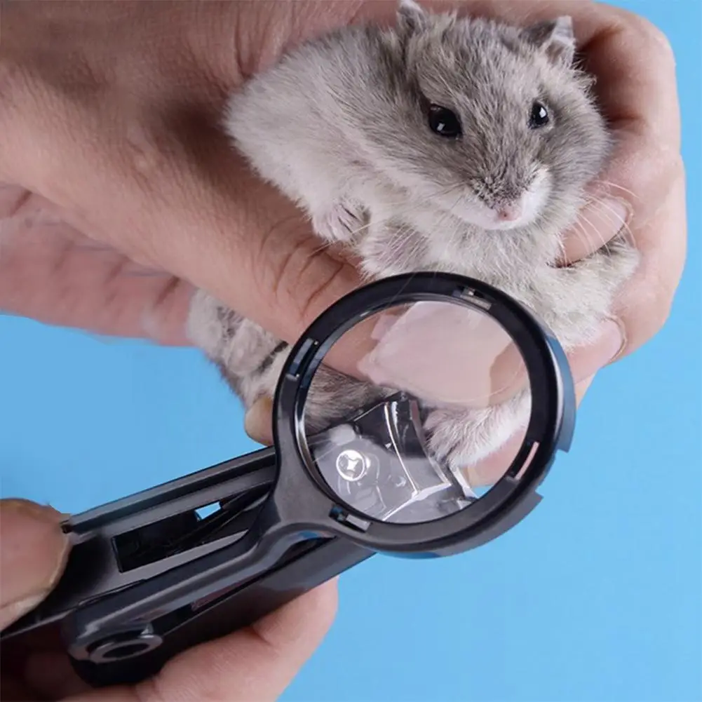 

HobbyLane Small Pet Nail Clipper with Magnifying Glass for Hamster Hedgehog Chinchilla Guinea Pig