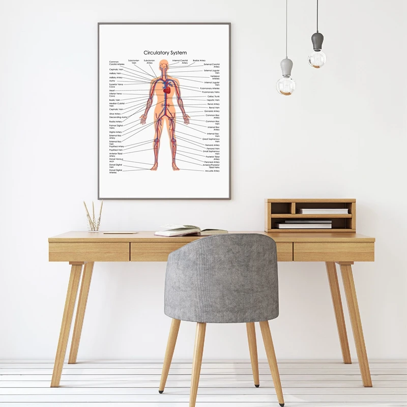 Medical Education Chart of Biology art print Office Decor