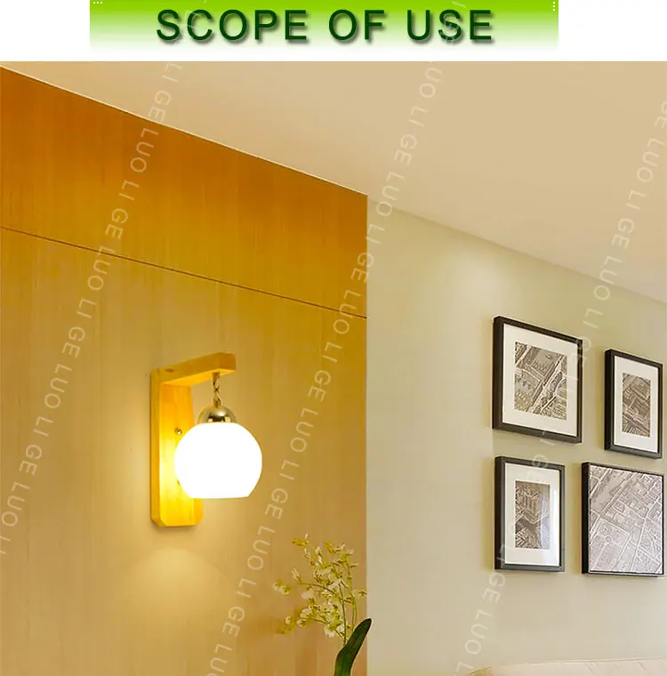 ball shade light_11
