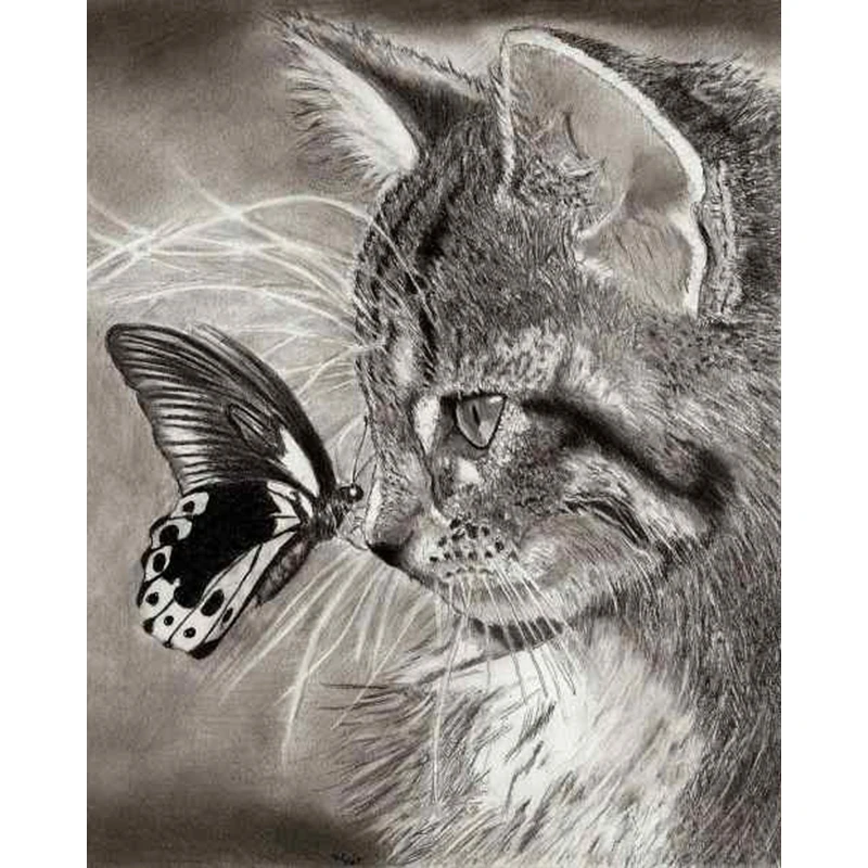 

Home Decoration DIY 5D Diamond Embroidery Cat And Butterfly Cross Stitch kits Resin Hobby Craft KBL