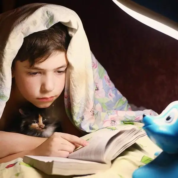 Светодиодный Чтение светильник книга светильник в лампа для чтения в постели клип на изголовье-3 Яркость защита глаз светильник вес USB Перезаряжаемые