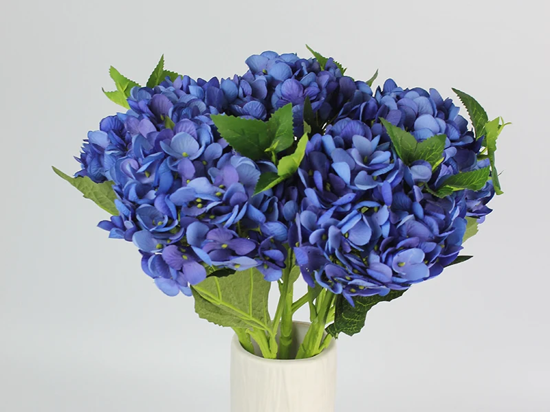 5deepblue