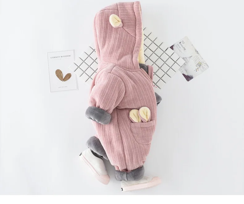 微信图片_20190620175714