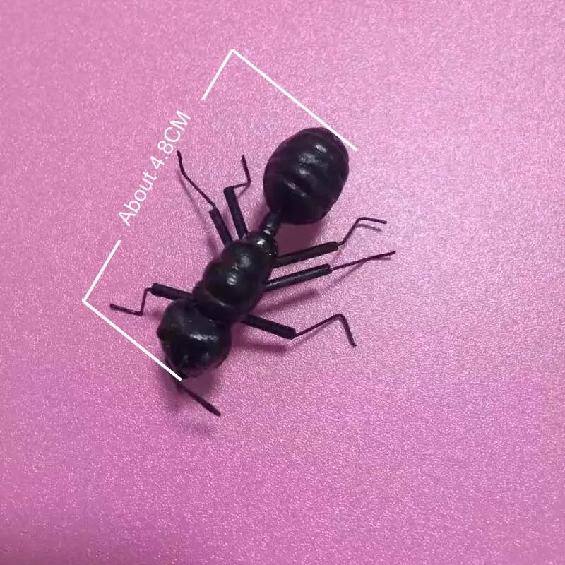 Ant_Size