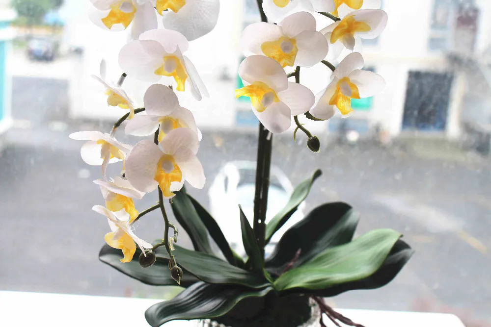 1 Набор цветок+ ваза искусственная композиция цветок орхидеи цветок в горшке настоящий сенсорный цветок Кремниевая Орхидея настоящая сенсорная стеклянная ваза