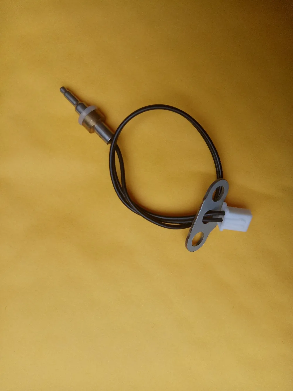 Free shipping/Gas water heater with temperature probe/temperature