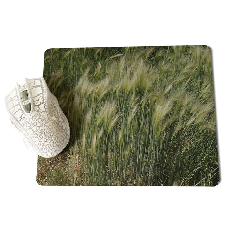 Babaite Foxtail grass компьютерные игровые коврики размер для 25x29 см коврики для игровой мыши - Цвет: 25X29cm