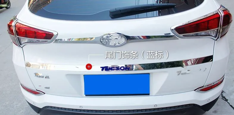 36020190508021915965
