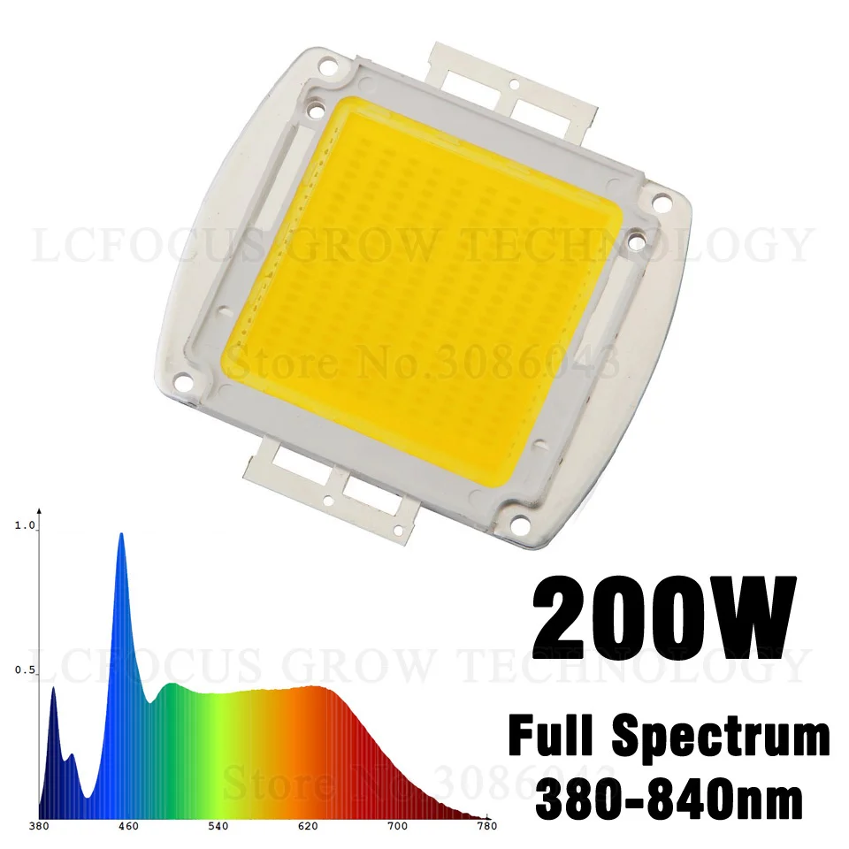 200W(1)