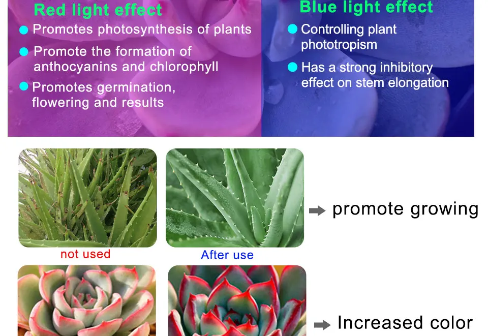 lamp for plants (5)