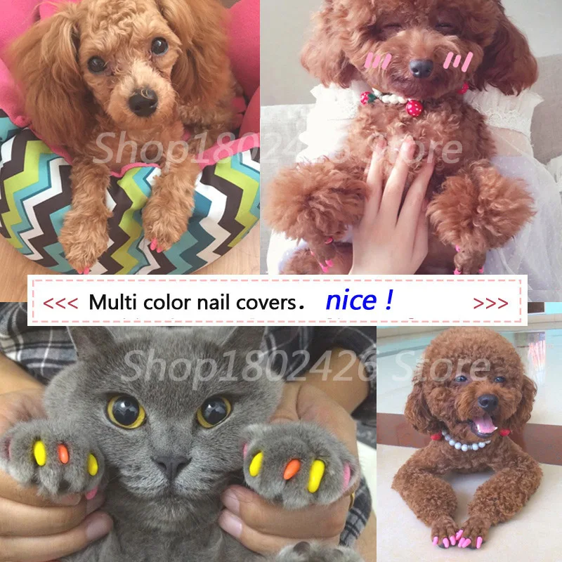 20 шт./партия насадки на Когти для кошек кошка накладные ногти Paw Claw кремния Nail Protector с бесплатной Клей XS S M L XL Cat Уход за лошадьми аксессуары