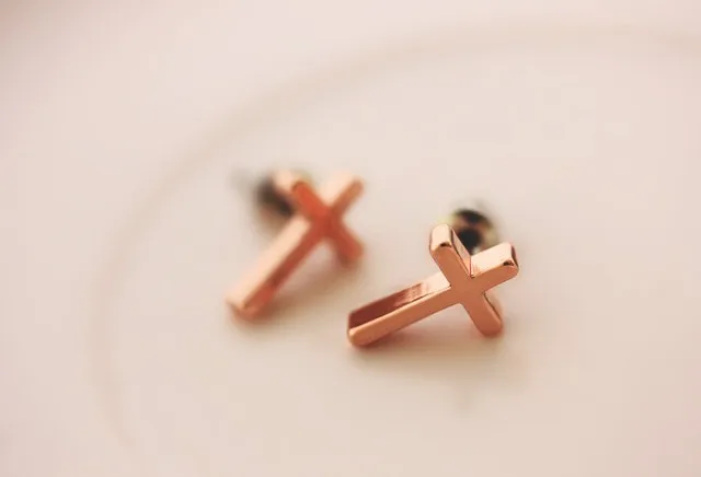 Zh0430 Ivy New Arrive Good Quality Anium Rose Gold Plated Zh0430 Ivy New Arrive Good Quality Anium Rose Gold Plated Earrings Small Cross
