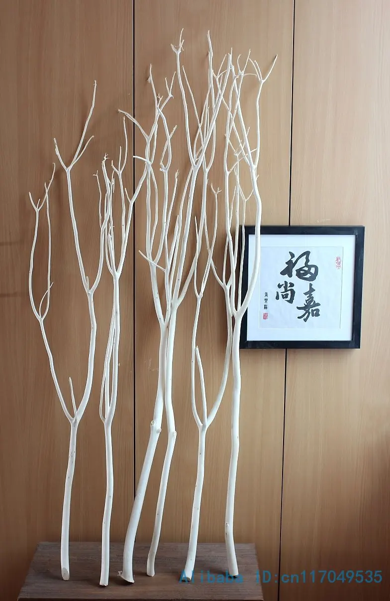 6 Pcs Height From 80cm To 120cm Natural Wood White Tree Dried Branch 6 Pcs Height From 80cm To 120cm Natural Wood White Tree Dried Branch Plant Home Wedding Decoration Gift F328 In Artificial Flowers