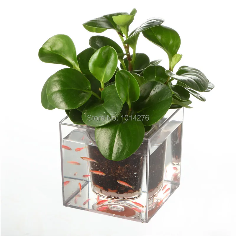 creative clear tube plant pot flower pot decorative self watering planter fish tank for - Decorative Planters creative clear tube plant pot flower pot decorative self watering planter fish tank for - Decorative Planters