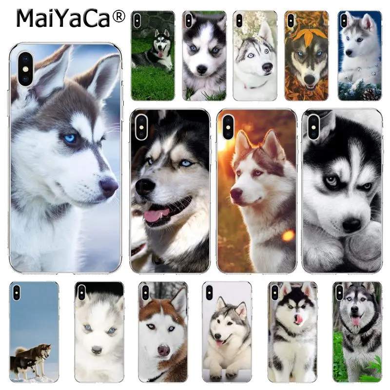 

MaiYaCa Animal Husky puppy Dog Soft Silicone Phone Case for iPhone 8 7 6 6S Plus X XS MAX 5 5S SE XR 10 Cover
