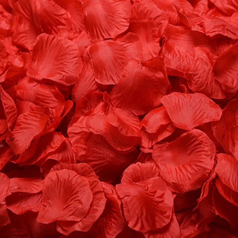 cheap real flower petals for wedding