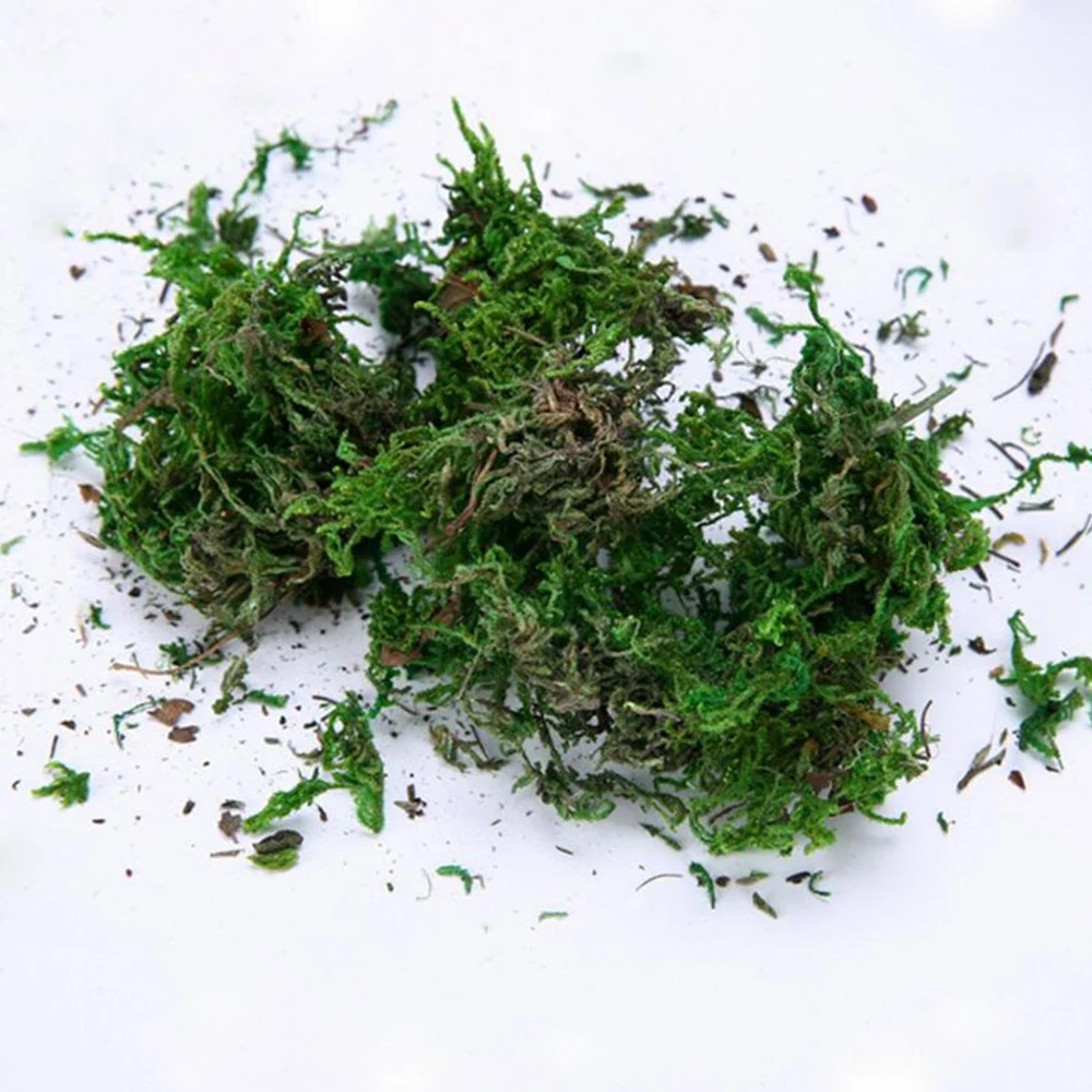 40g/Bag Artificial Flower Dried Reindeer Moss for Garden Home Decoration DIY Craft Flower Bonsai Basket Plant Wedding Turf Decor 40g/Bag Artificial Flower Dried Reindeer Moss for Garden Home Decoration DIY Craft Flower Bonsai Basket Plant Wedding Turf Decor