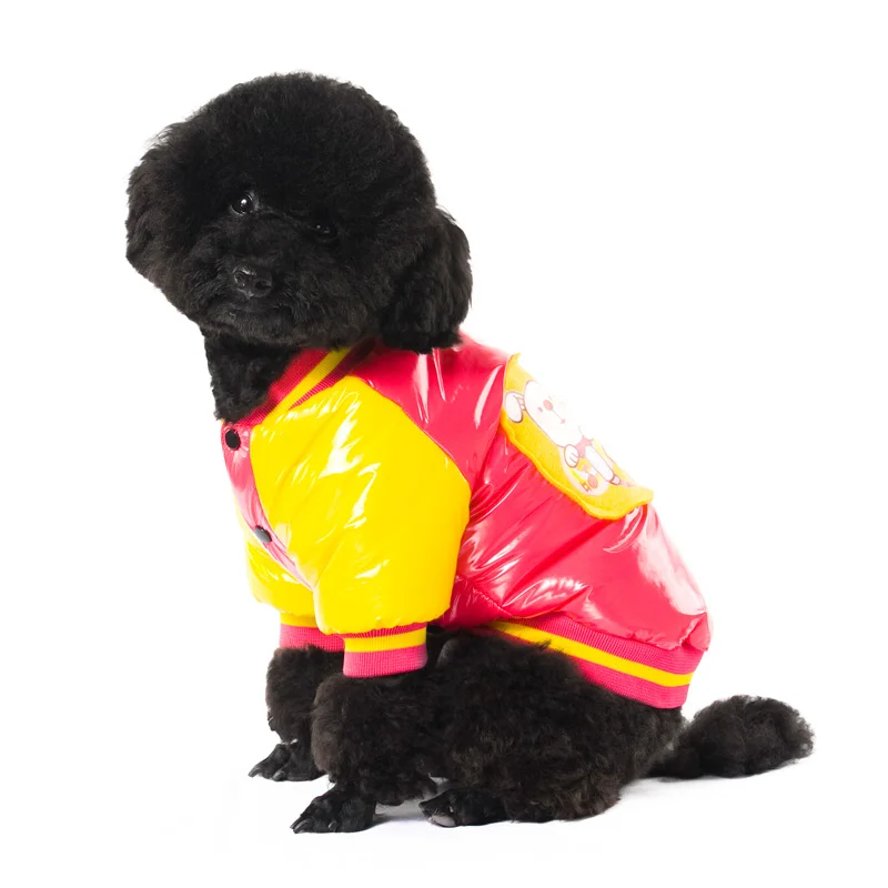 4 pet clothes 