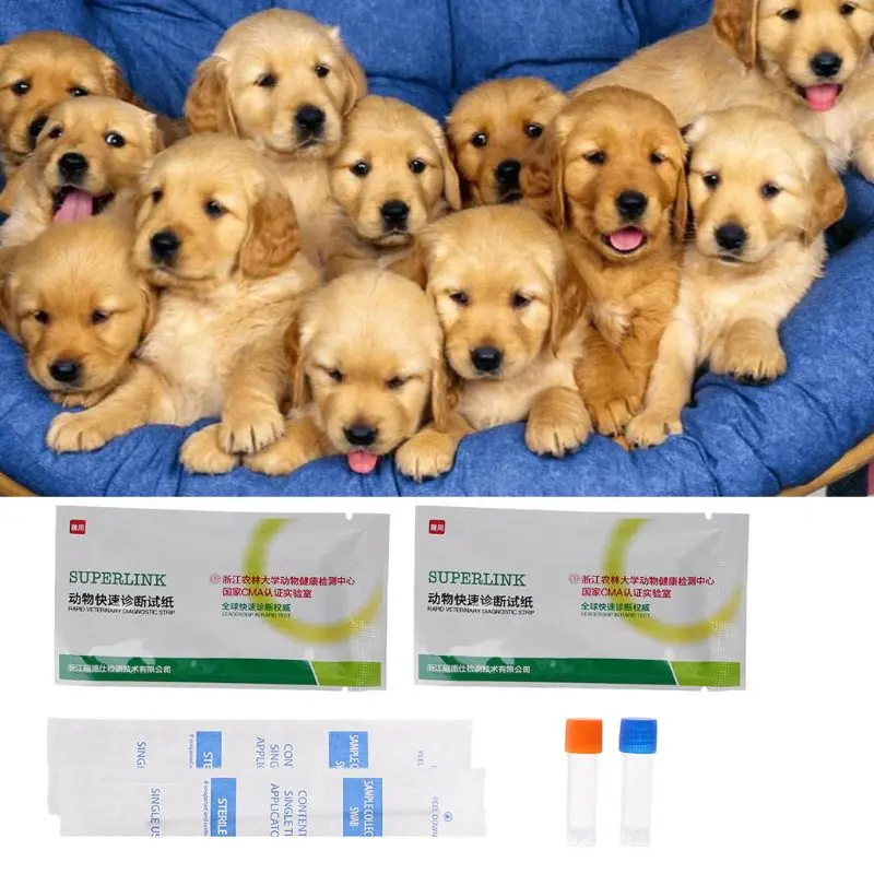 Тестовая Бумага для домашних собак, обнаружение здоровья для вируса Parvovirus CDV CPV