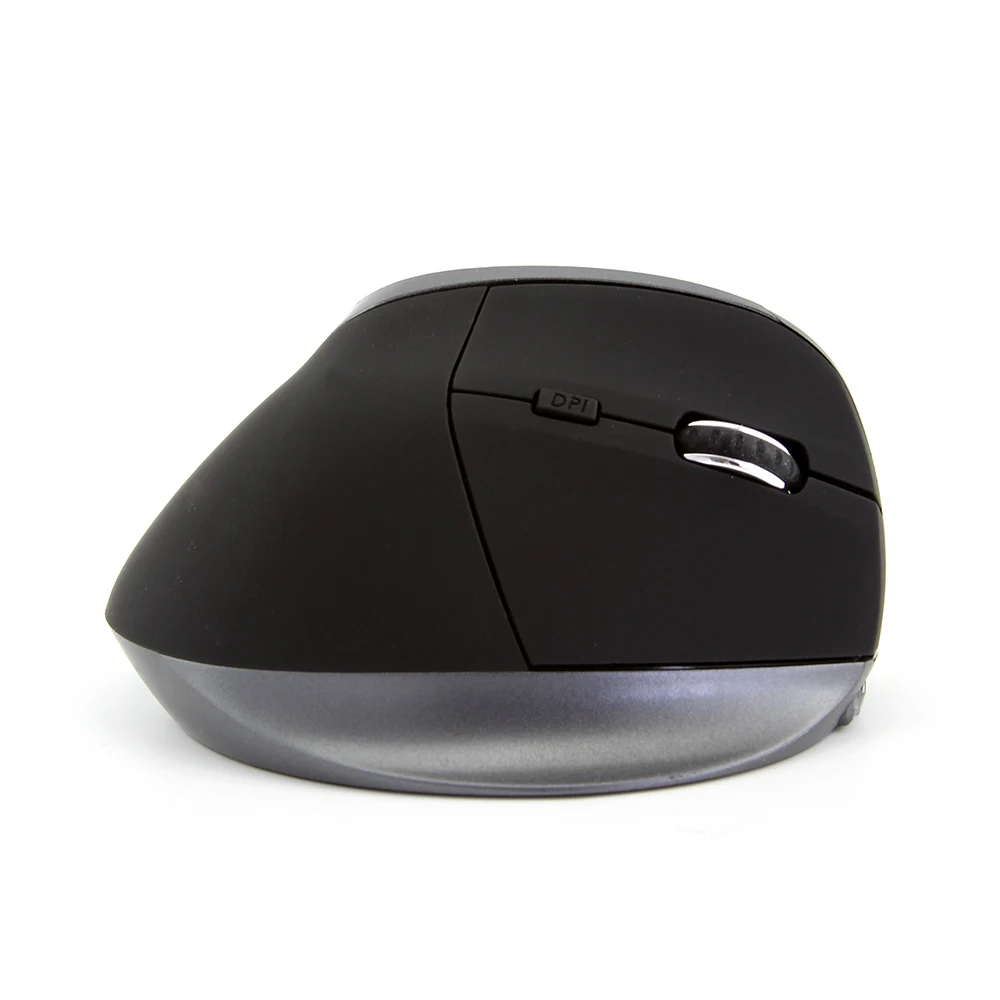 computer mouse 