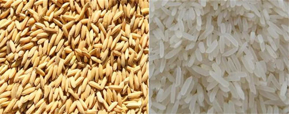 rice huller01