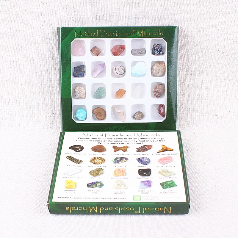 

Polished Mineral & Rock Specimen Gemstone Samples Educational Geology Science Natural Crystal Display Collectio
