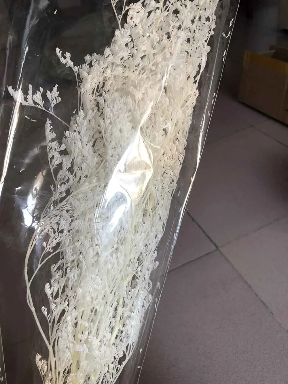 10 пачек сушеные отбеленные консервированные белые кодариокаликс моториус цветок для свадебной вечеринки дома отеля украшения DIY букет изготовление