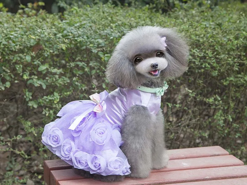 SYDZSW Dog Tutu Dress Pet Clothing for Small Dogs Cats Luxury Pearl Bowknot Puppy Dog Princess Dress Chihuahua Costume Wholesale11