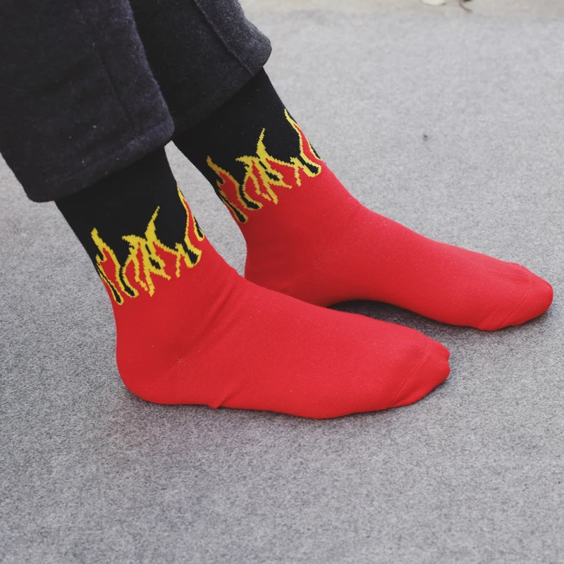 3703555120_866082455