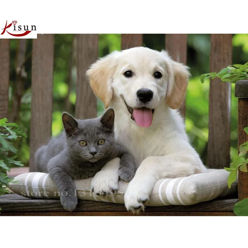 Котики собачки