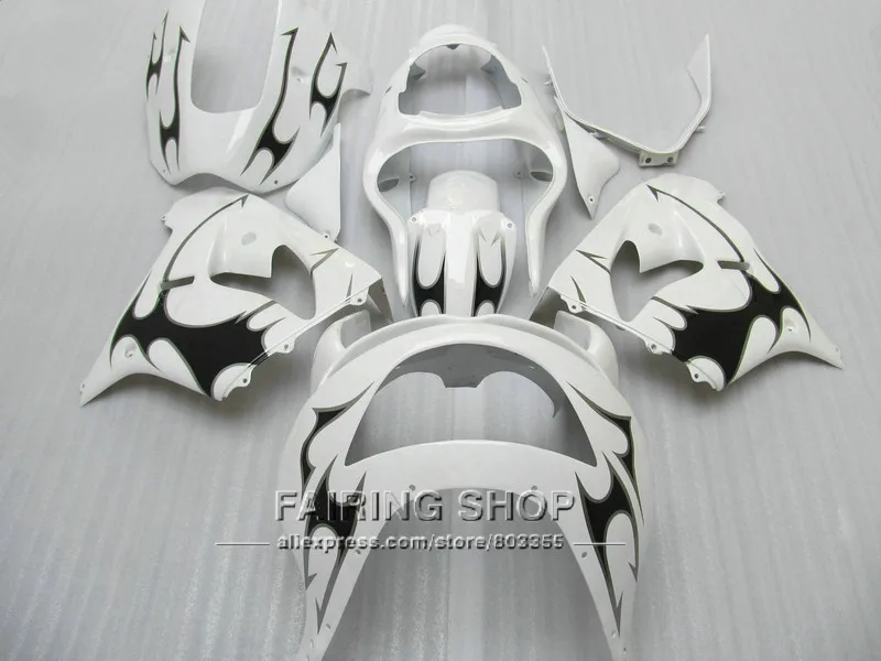 zx9r-98-103