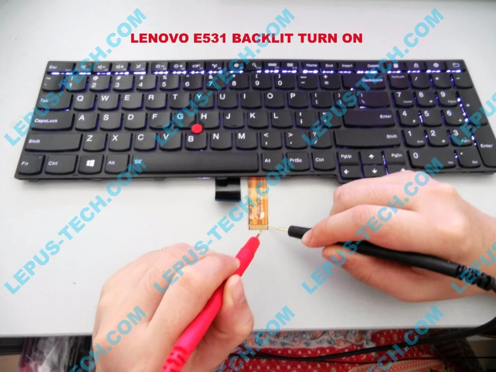 SAM_8014 LEPUS-TECH