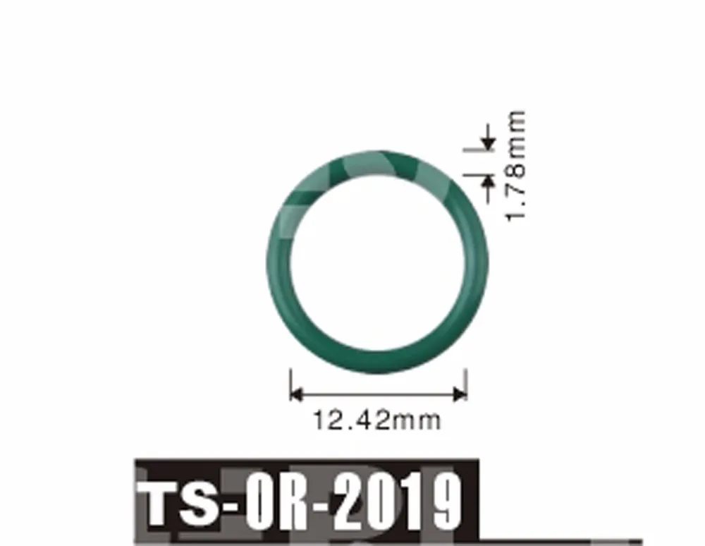 10-INJECTOR RUBBER O-RINGS-TS2019
