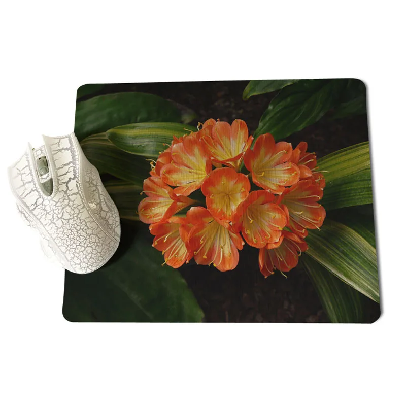 25X29cm MaiYaCa ваши собственные коврики Botanic Garden of Wales уникальная настольная панель коврик для игровой мыши Размер для 18x22 см и 25x29 см резиновые коврики - Цвет: 25X29cm