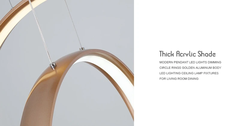 Nordic Creative LED Pendant Lights Lamp Minimalist Aluminum Double Ring LED Hanging Lighting For Dining Room Bar Cafe (17)