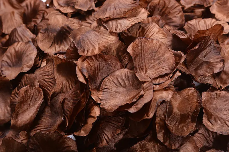 2382-36-10pcs-brown--
