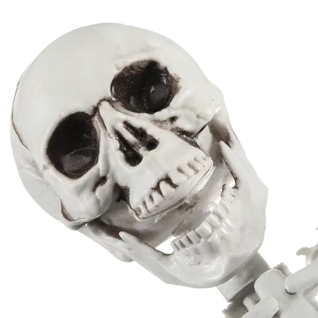 Online Shop Adult Skull Skeleton Horror Haunted House Simulation