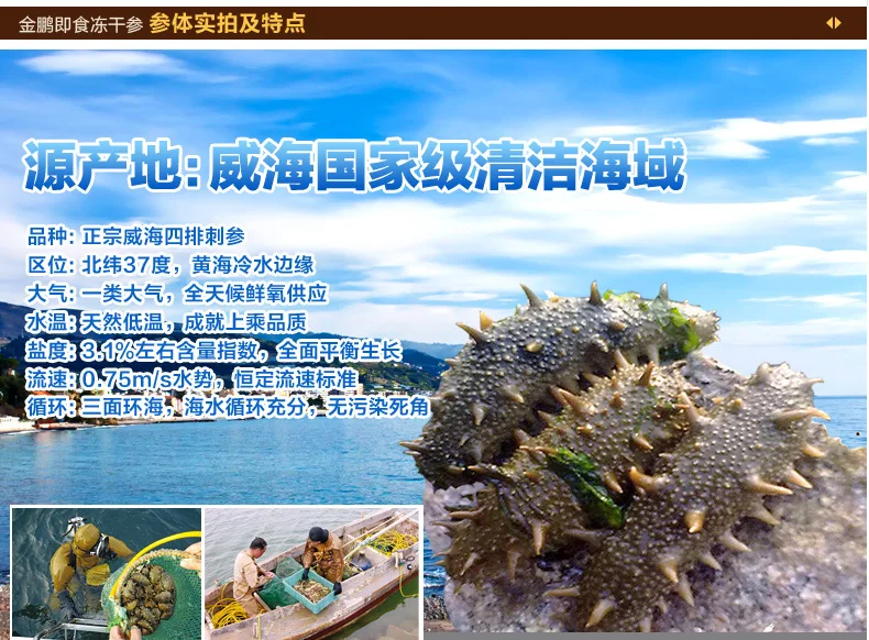 freezedried sea cucumber a single 2.5g dry sea cucumber sea cucumber 7