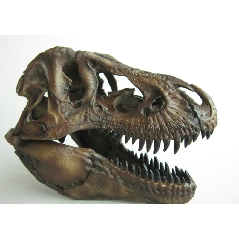 Ремесла Искусство ремесла 1/12 тираннозавр рекс череп динозавра Смола Fossil