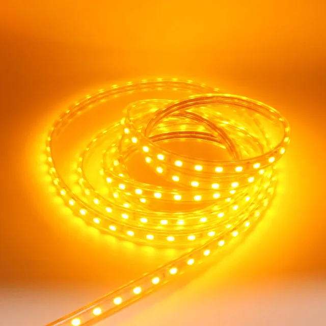 AC-220V-led-strip-light-2835-waterproof-IP67-IP68-led-tape-with-power-plug-led-rope.jpg_.webp_640x640 (3)