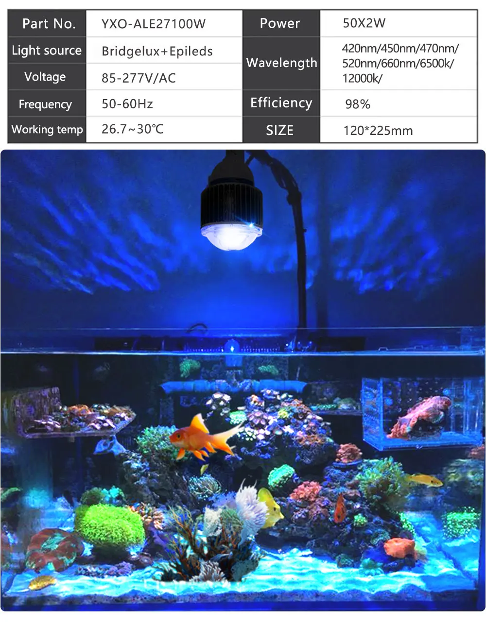 1 шт. 100 Вт E27 Светодиодный светильник для аквариума COB+ Lense полный спектр светильник ing для морских коралловых рифов, рыб, морских аквариумов, светильник для Луны