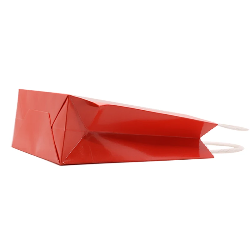 paper bag (8)