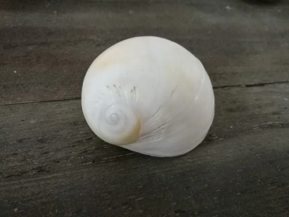 -1
