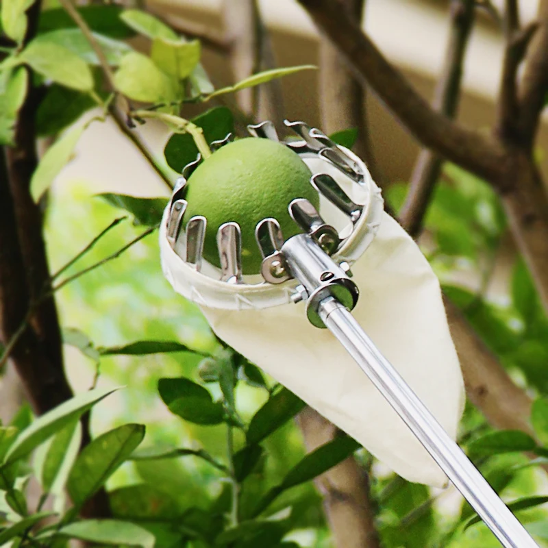 Buy WHISM Garden Fruit Picker Head Metal Fruit Picking