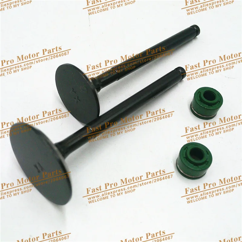 

YinXiang 150CC YX160 Valve Oil Seals and Valve set Cylinder Head Valve Kit Engine spare parts