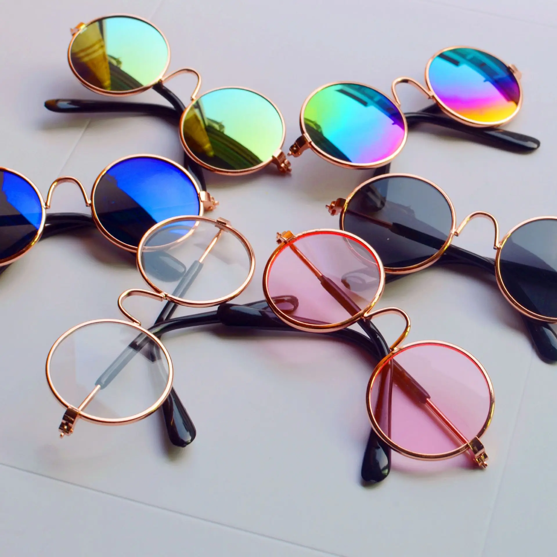 Trendy eyeglasses for dog